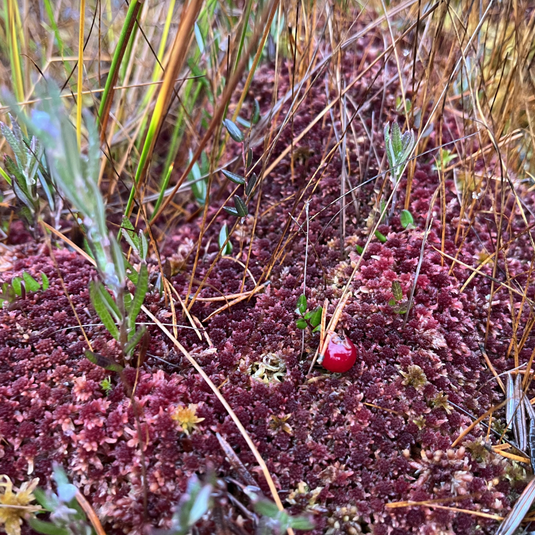 We create products people love to use